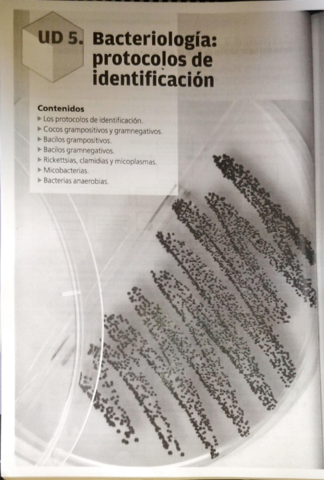 Tema-5-bacteriologia-protocolos-de-identificacion-.pdf
