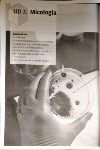 Tema-7-Micologia-.pdf