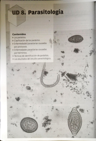 Tema-8-parasitologia-.pdf