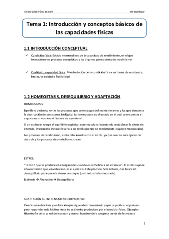 TEMA-1-Introduccion.pdf