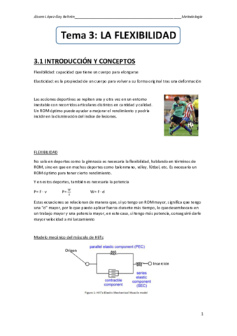 TEMA-3-La-Flexibilidad.pdf