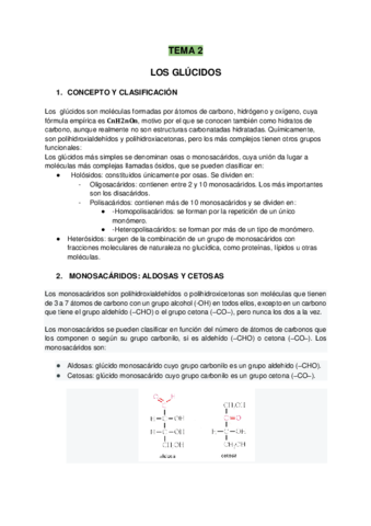 TEMA-2.pdf