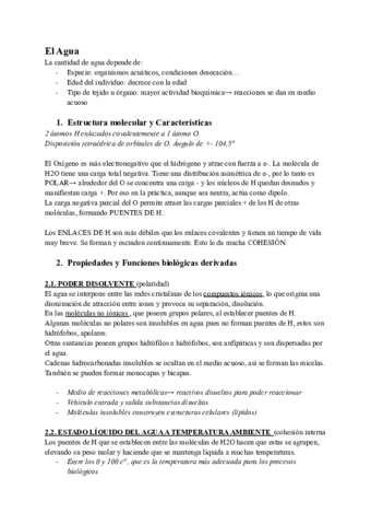 El-Agua-y-Las-Sales-Minerales-1.pdf