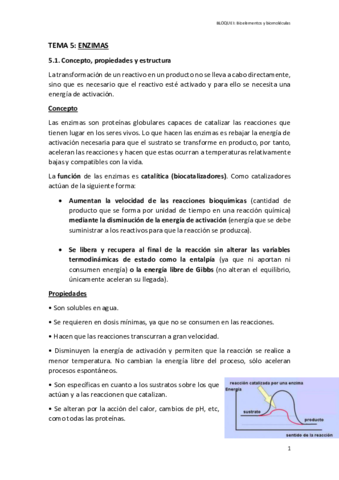 TEMA-5-ENZIMAS.pdf