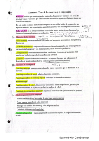 Tema-1-Economia.pdf