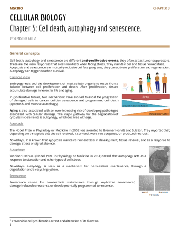 PAR1Chapter-3-Antiproliferative-mechanisms.pdf