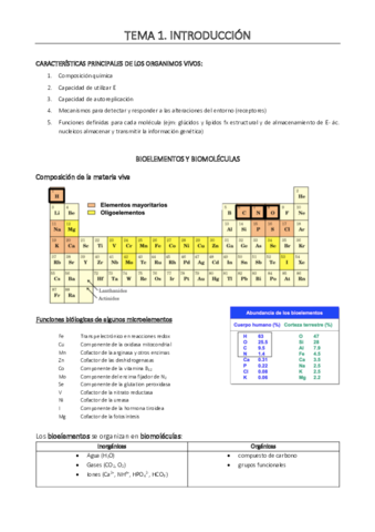 1-INTRODUCCION.pdf