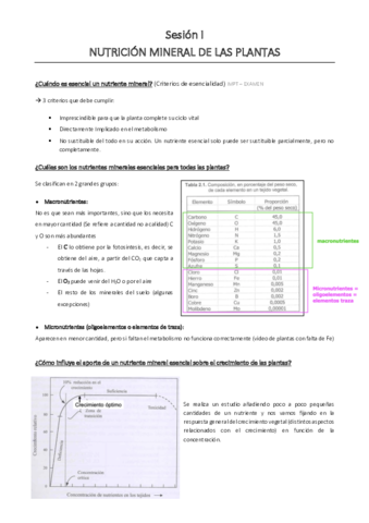 SESION-I.pdf