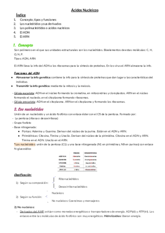 T4-Ac.pdf