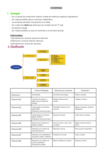 T5.pdf