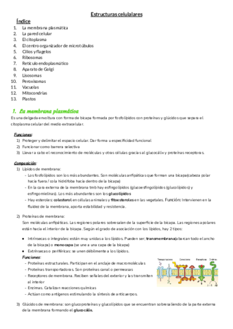 T-7-estructuras.pdf