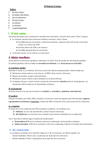 T8-El-nucleo-celular.pdf