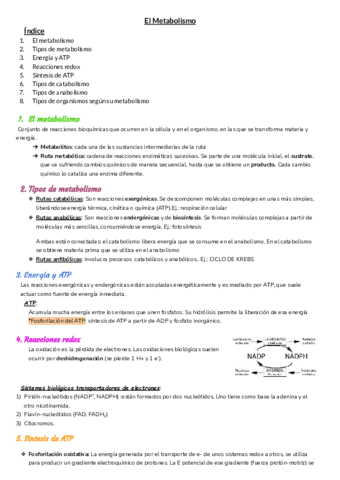 T-9-El-metabolismo.pdf
