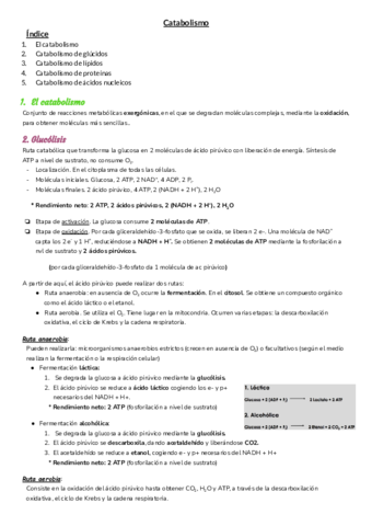 T-10-Catabolismo.pdf