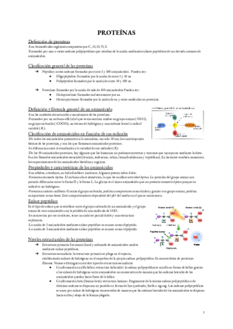 Documento-sin-titulo.pdf