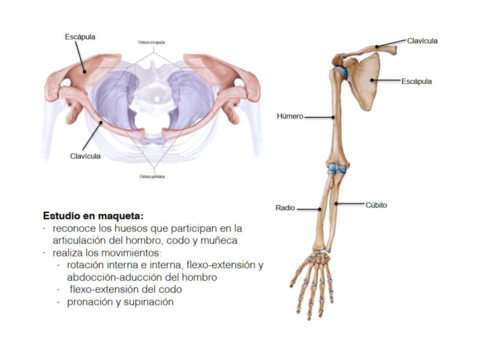 Practica-5.pdf