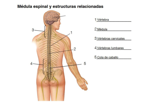 Practica-8.pdf