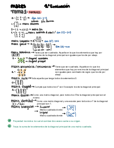 Matrices.pdf