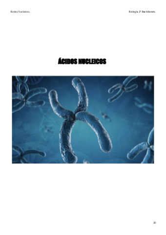 5-AcidosNucleicos.pdf