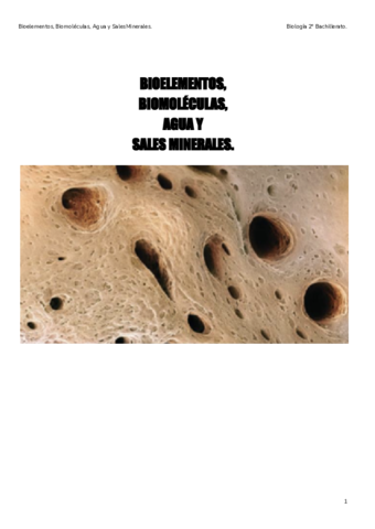 1-BioelementosBiomoleculasAguaSalesMinerales.pdf