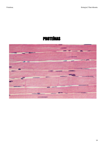 4-LasProteinas.pdf