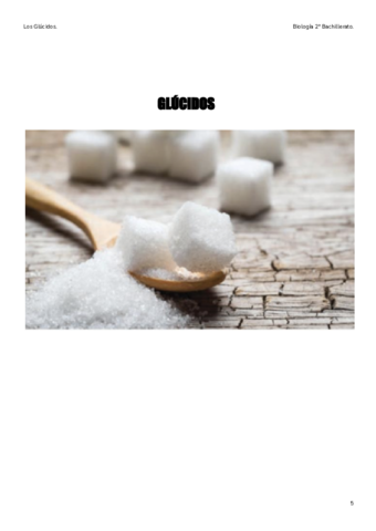 2-LosGlucidos.pdf