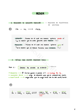 REDOX-2o-Bachiller.pdf