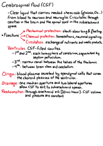 Cerebrospinal-fluid.pdf