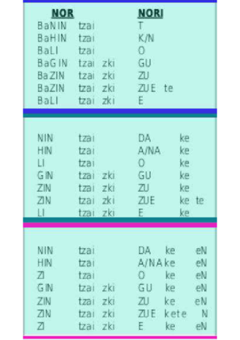 Baldintzanornori.pdf