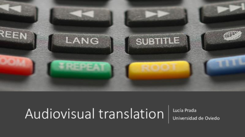 CEX-11Audiovisual-translation.pdf