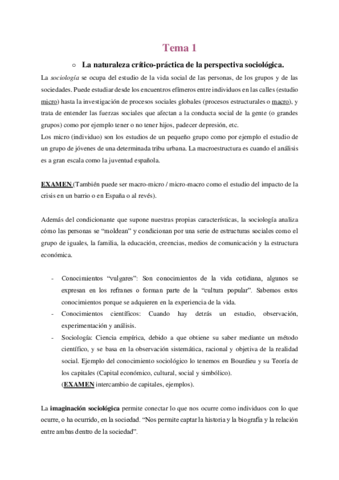 Tema-1-Sociologia.pdf