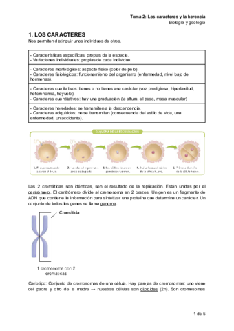 Apuntes-bio-tema-2.pdf