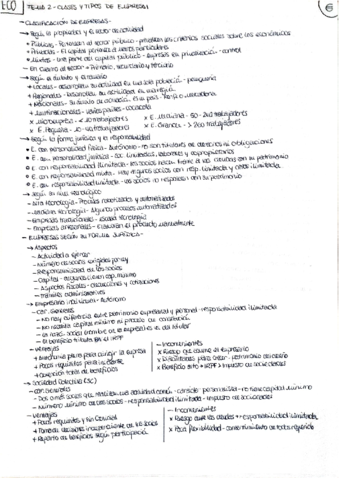 ECO-2o-TEMA-2-TIPOS-DE-EMPRESA.pdf