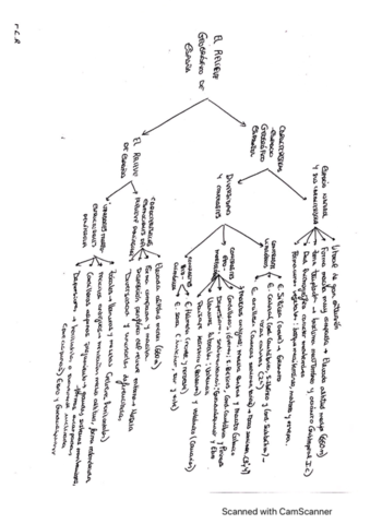 TEMA-2-GEOGRAFIA.pdf