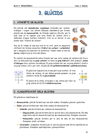 Glucids-.pdf