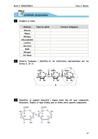 Activitats-Glucids.pdf