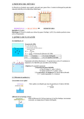 Resumen-flotacion.pdf