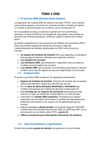 APUNTES-DNS.pdf