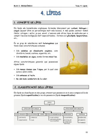 Lipids.pdf