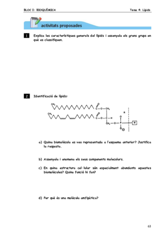 Lipids-Activitats.pdf