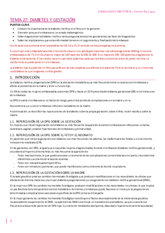 TEMA-27.pdf