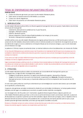 TEMA-39.pdf