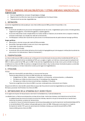 TEMA-3.pdf