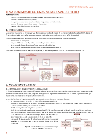 TEMA-2.pdf