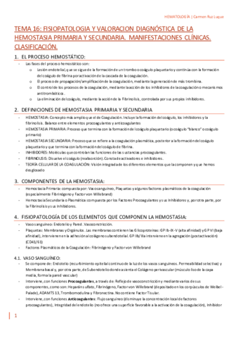 TEMA-16.pdf