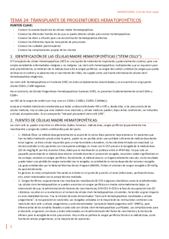 TEMA-24.pdf