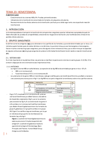 TEMA-23.pdf