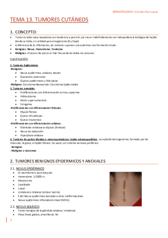 TEMA-13.-DERMA.pdf
