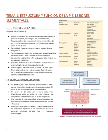 TEMA-1.pdf