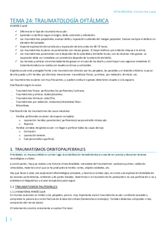T24.pdf